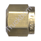 NUT 1/4in