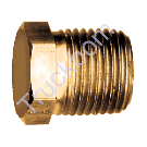 PLUG HEX 3/4in